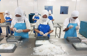 Processing Area 4